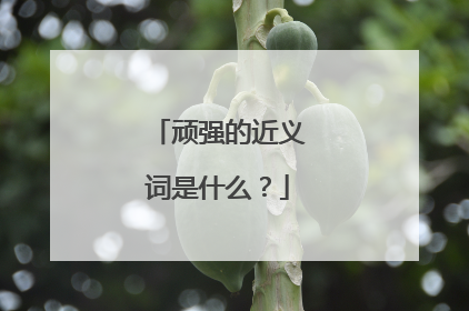 顽强的近义词是什么？