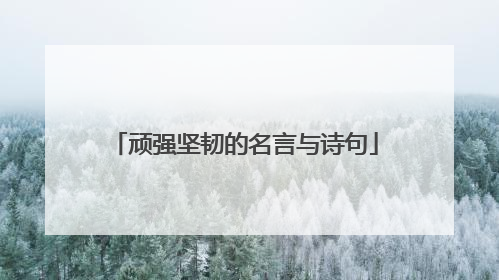 顽强坚韧的名言与诗句