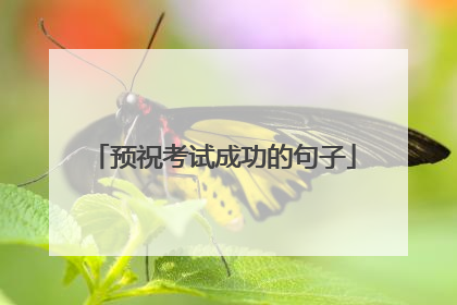预祝考试成功的句子