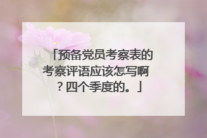 预备党员考察表的考察评语应该怎写啊？四个季度的。