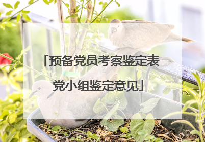 预备党员考察鉴定表 党小组鉴定意见