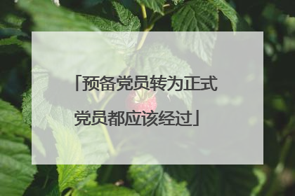 预备党员转为正式党员都应该经过