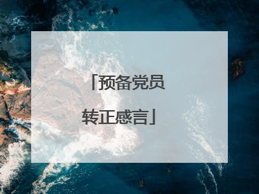 预备党员转正感言