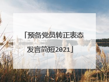 预备党员转正表态发言简短2021