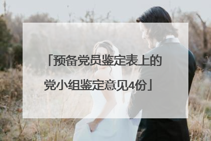 预备党员鉴定表上的党小组鉴定意见4份