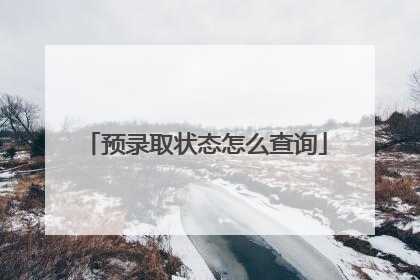 预录取状态怎么查询