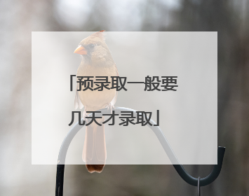 预录取一般要几天才录取