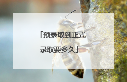 预录取到正式录取要多久