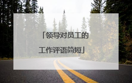 领导对员工的工作评语简短