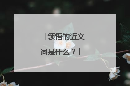 领悟的近义词是什么？