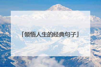领悟人生的经典句子