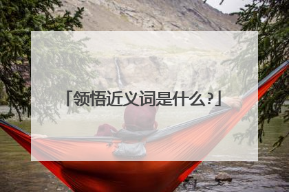 领悟近义词是什么?