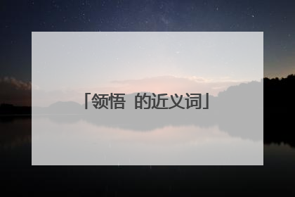 领悟 的近义词