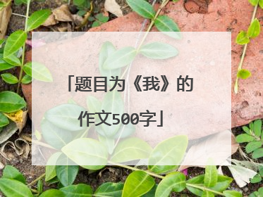 题目为《我》的作文500字