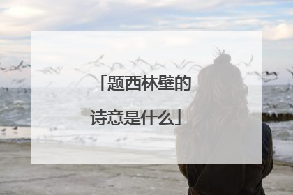 题西林壁的诗意是什么