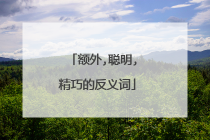 额外,聪明,精巧的反义词