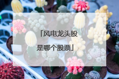 风电龙头股是哪个股票