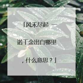 风禾尽起 一诺千金出自哪里，什么意思？