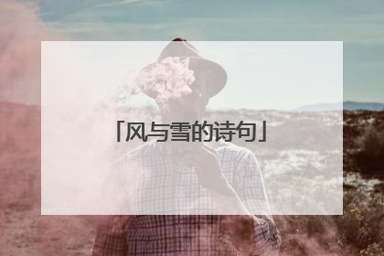 风与雪的诗句