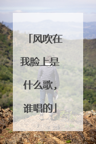 风吹在我脸上是什么歌,谁唱的