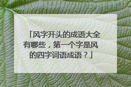 风字开头的成语大全有哪些，第一个字是风的四字词语成语？
