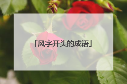 风字开头的成语