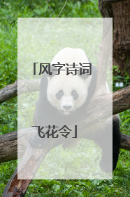 风字诗词飞花令