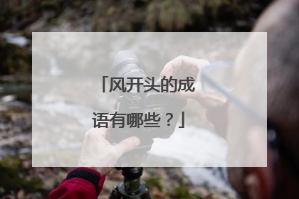 风开头的成语有哪些？