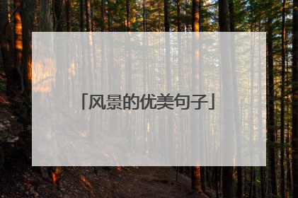 风景的优美句子
