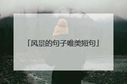 风景的句子唯美短句