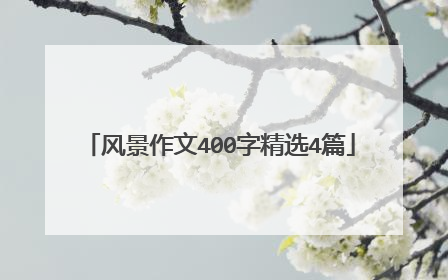 风景作文400字精选4篇
