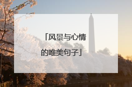 风景与心情的唯美句子
