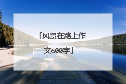 风景在路上作文600字