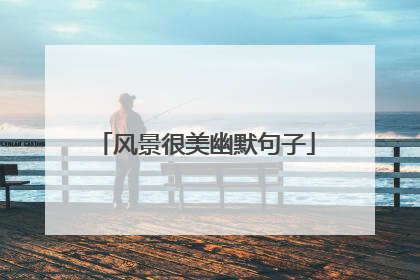 风景很美幽默句子