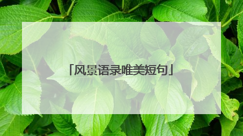 风景语录唯美短句