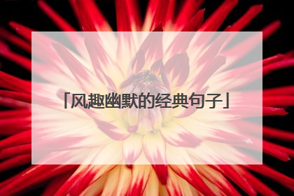 风趣幽默的经典句子