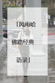 风雨哈佛路经典语录