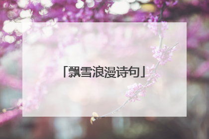 飘雪浪漫诗句
