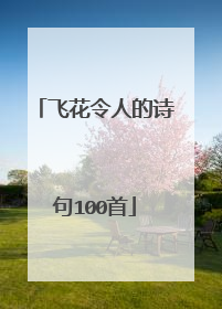 飞花令人的诗句100首