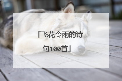 飞花令雨的诗句100首