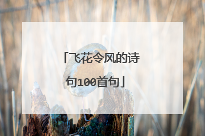 飞花令风的诗句100首句