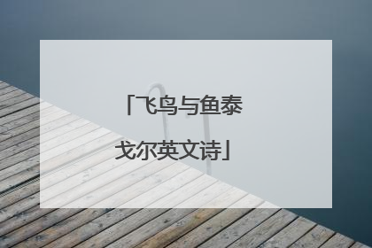 飞鸟与鱼泰戈尔英文诗