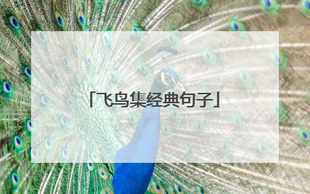 飞鸟集经典句子