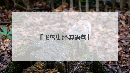 飞鸟集经典语句