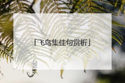 飞鸟集佳句赏析