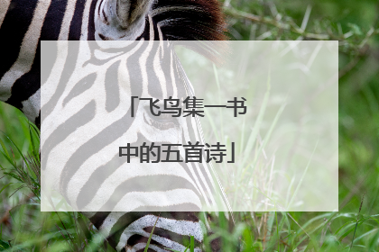 飞鸟集一书中的五首诗