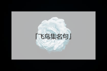 飞鸟集名句