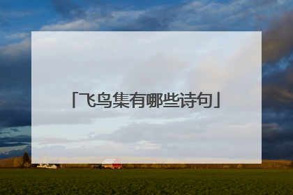 飞鸟集有哪些诗句