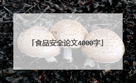 食品安全论文4000字