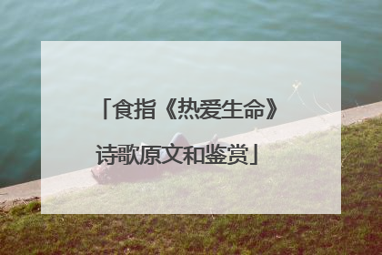 食指《热爱生命》诗歌原文和鉴赏